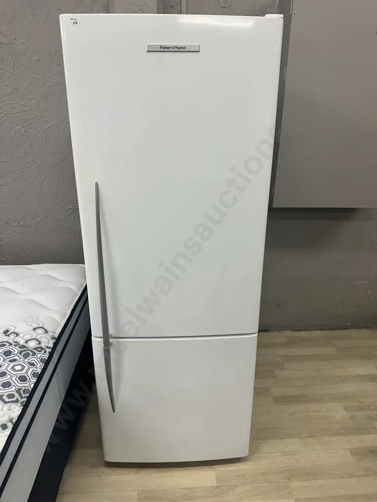 Fisher & Paykel E402B Active Smart Fridge Freezer, Serial #AlF118136 Image 1++