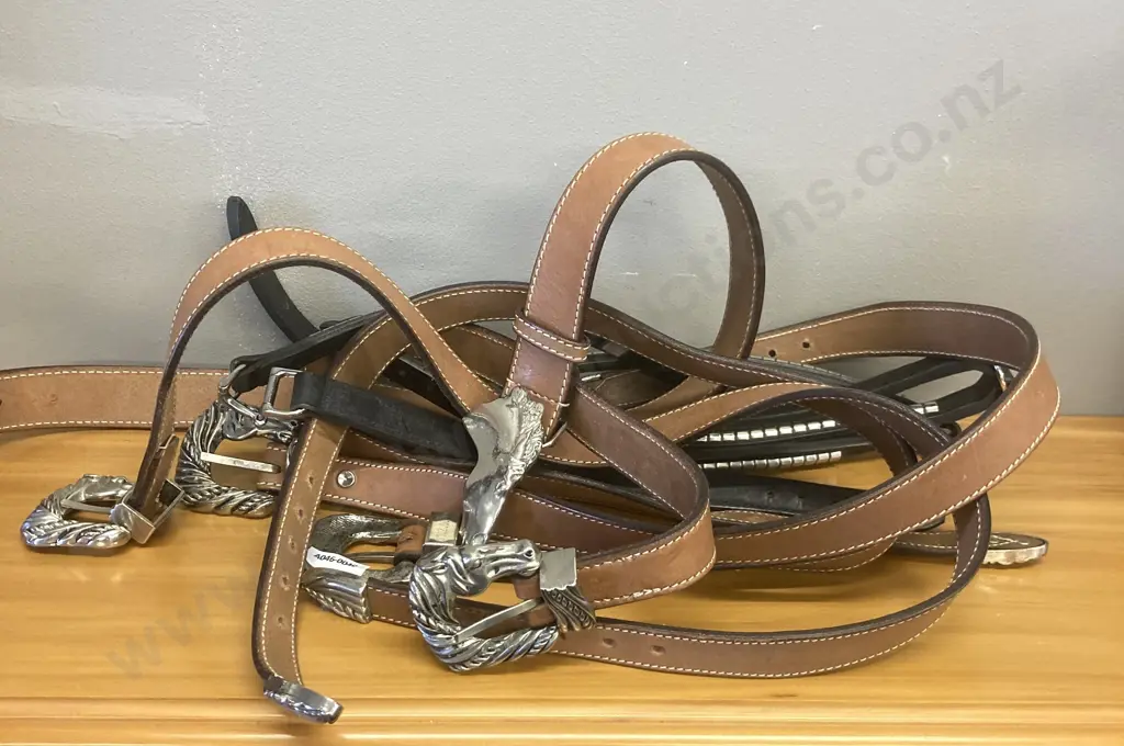 Equestrian Themed Belts & Buckles Image 1++