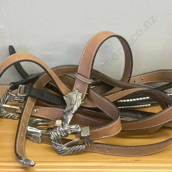 Equestrian Themed Belts & Buckles