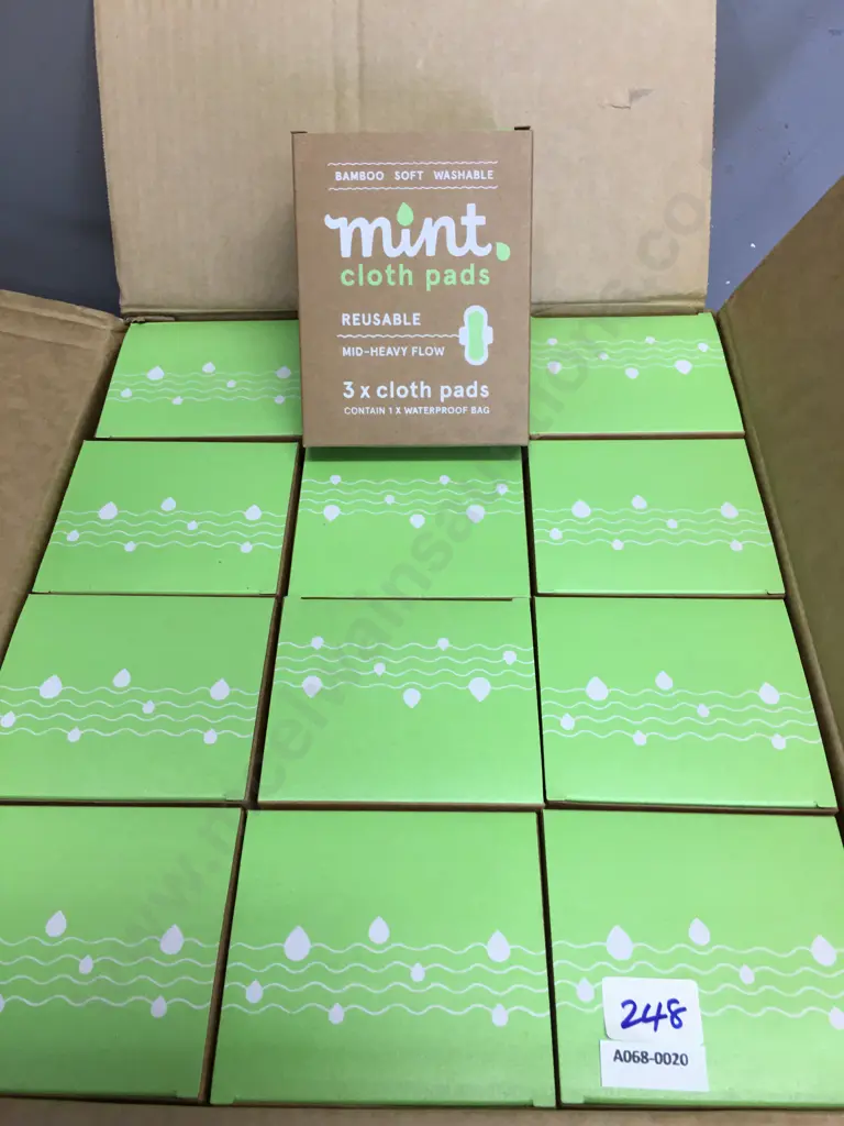 Bamboo Soft Washable Mint Cloth Pads - 12 x Boxes of 3 x Cloth Pads Image 1++