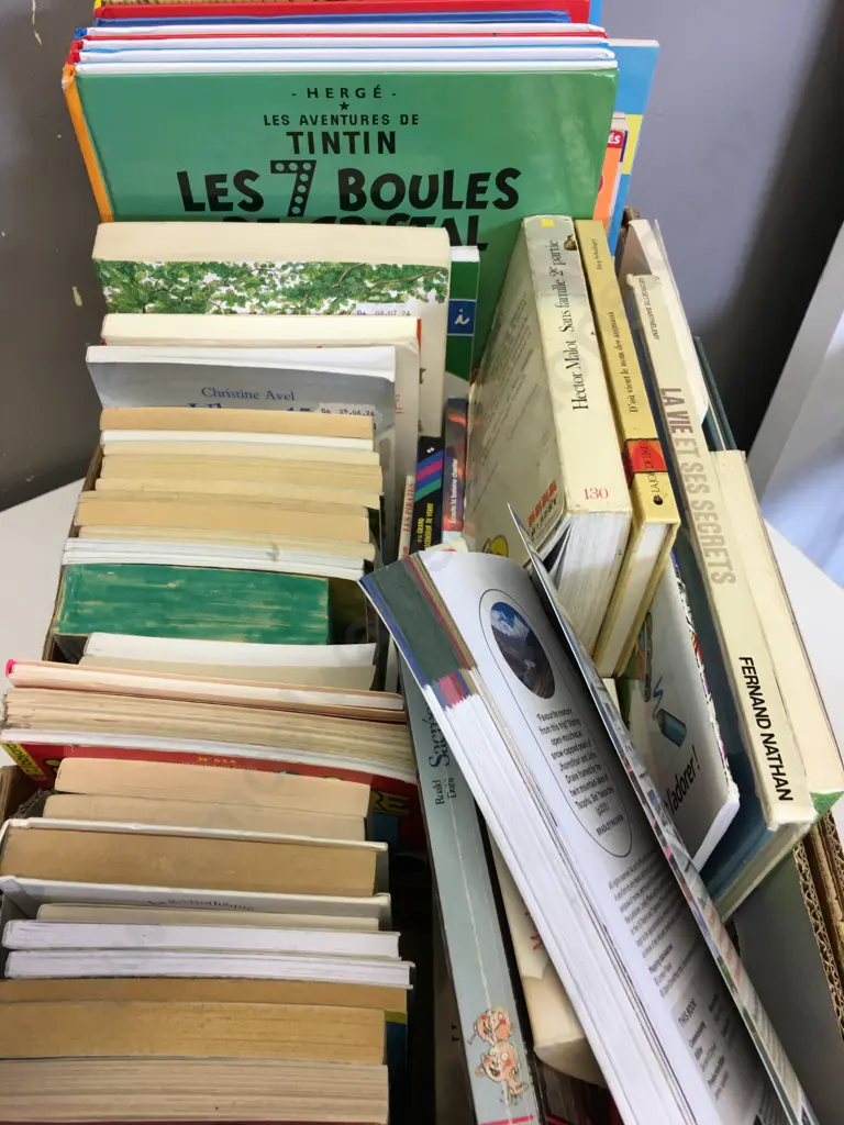 Box lot French Language Books - Tintin, Lucky Luke Etc Image 1++