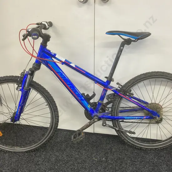 Merida Matts J 24 Kids Bike, Blue & Red Colours
