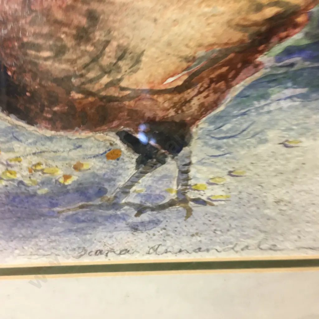 Diana Annandale Watercolour "Pecking Chooks". Signed 49 x 59cm Glazed Framed Image 1++