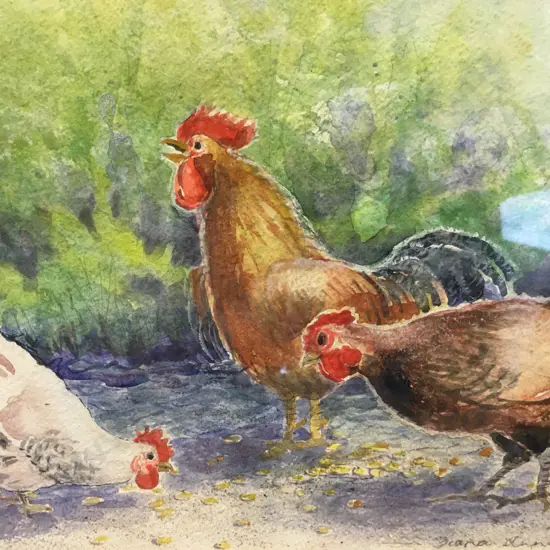 Diana Annandale Watercolour "Pecking Chooks". Signed 49 x 59cm Glazed Framed