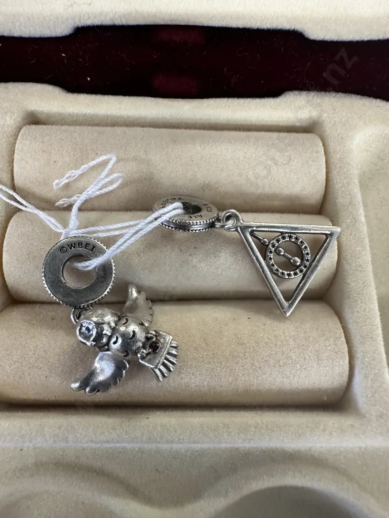 Pandora Charms S925 Ale Image 1++