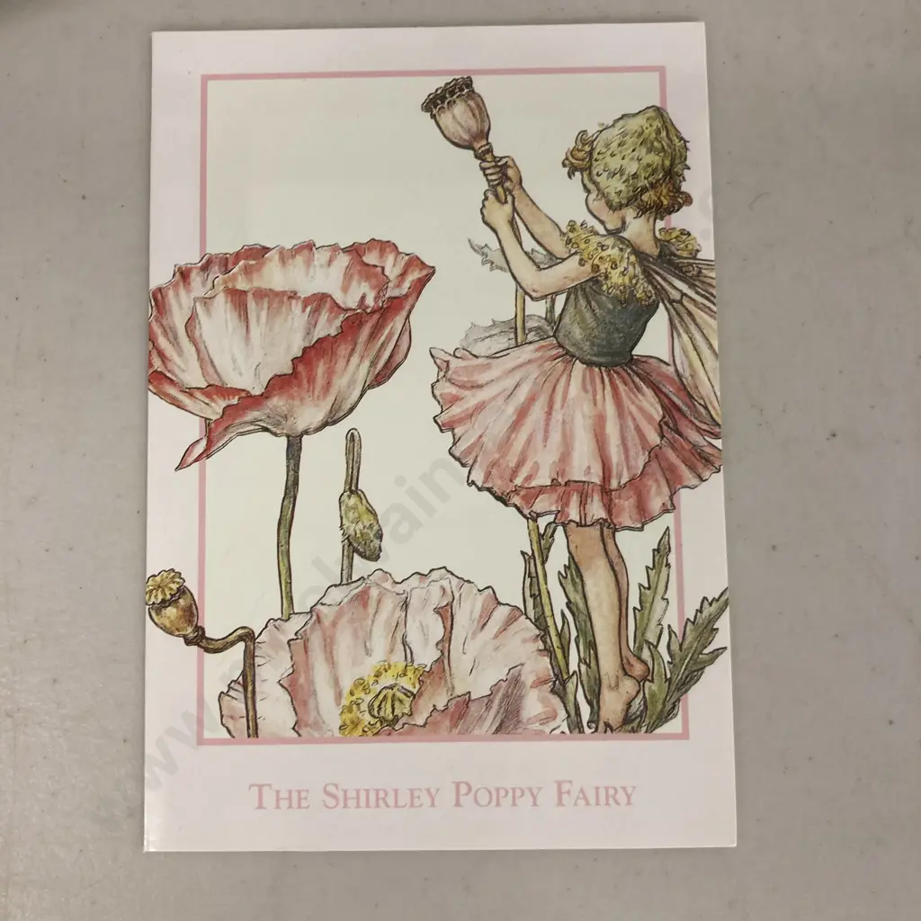 Margaret Mahy Signed Autographed 12 x 8" Crocodile Drawing & The Shirley Poppy Fairy Card Image 1++