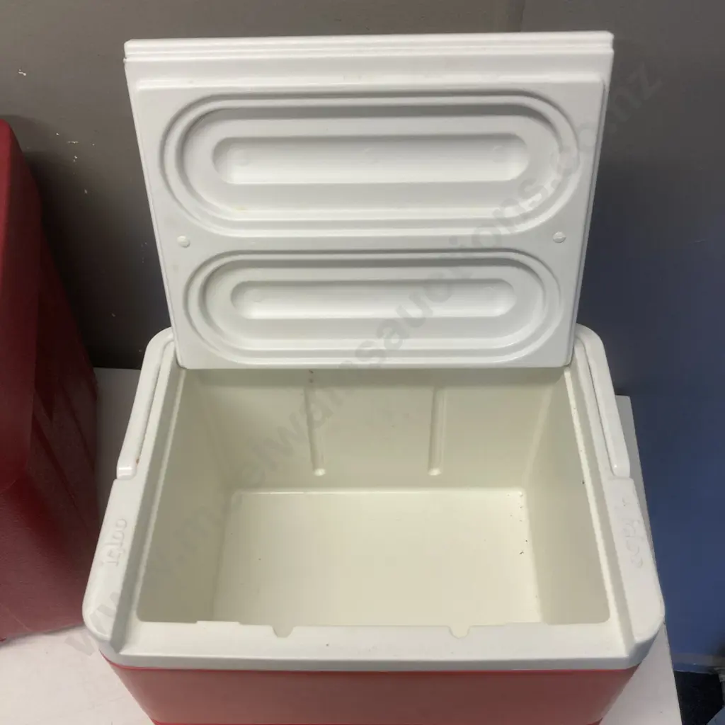 Pair of Igloo Chilly Bins Image 1++