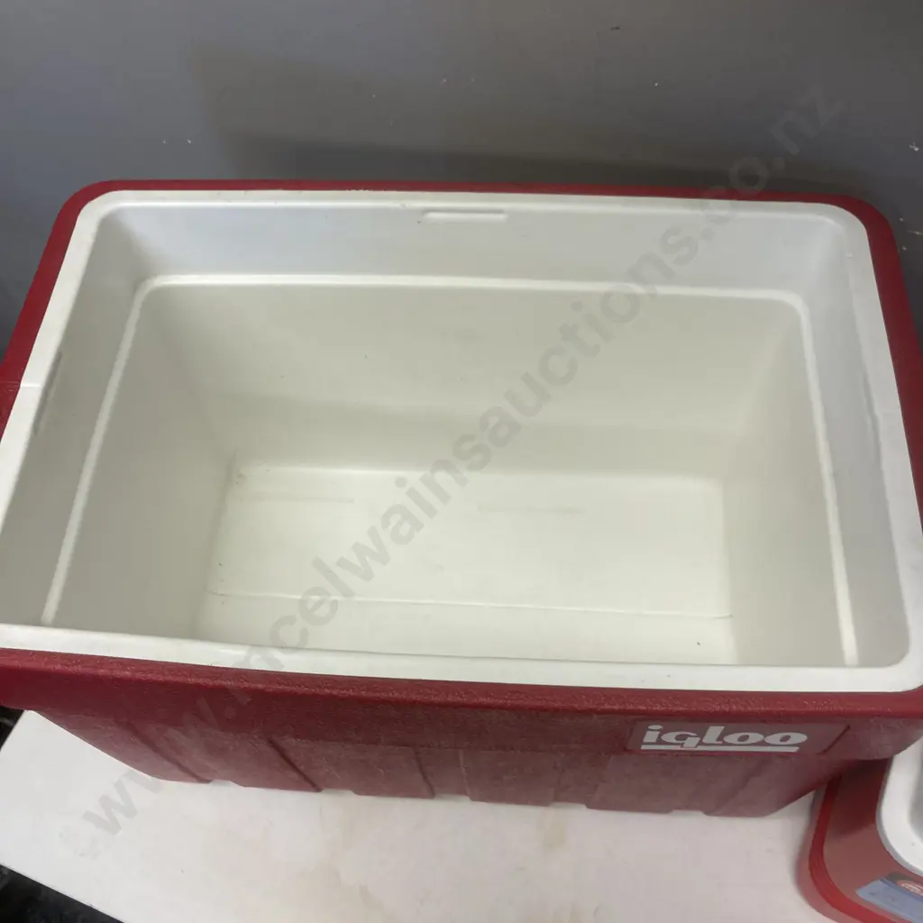 Pair of Igloo Chilly Bins Image 1++
