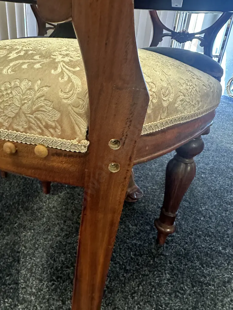 Mahogany Oval Table, Heavily Carved Double Pedestal With 5 Balloon Back Dining Chairs & Carver Image 1++