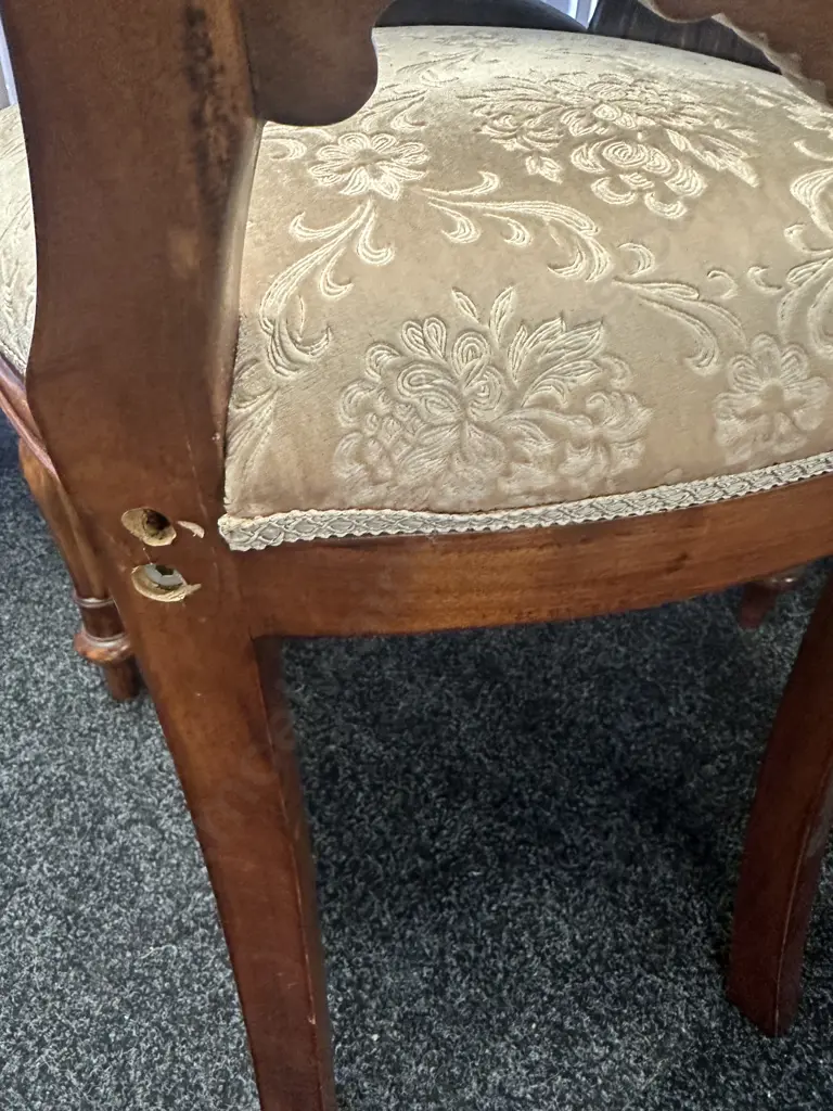 Mahogany Oval Table, Heavily Carved Double Pedestal With 5 Balloon Back Dining Chairs & Carver Image 1++