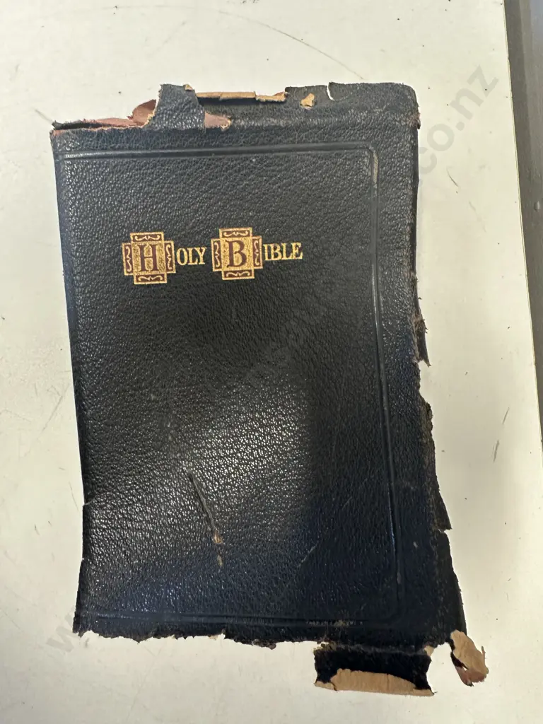 Holy Bible Master-Art Edition KJV, Red Letter, Self Pronouncing, Thumb Indexed, World Publishing Co, Leather (As Found) Image 1++