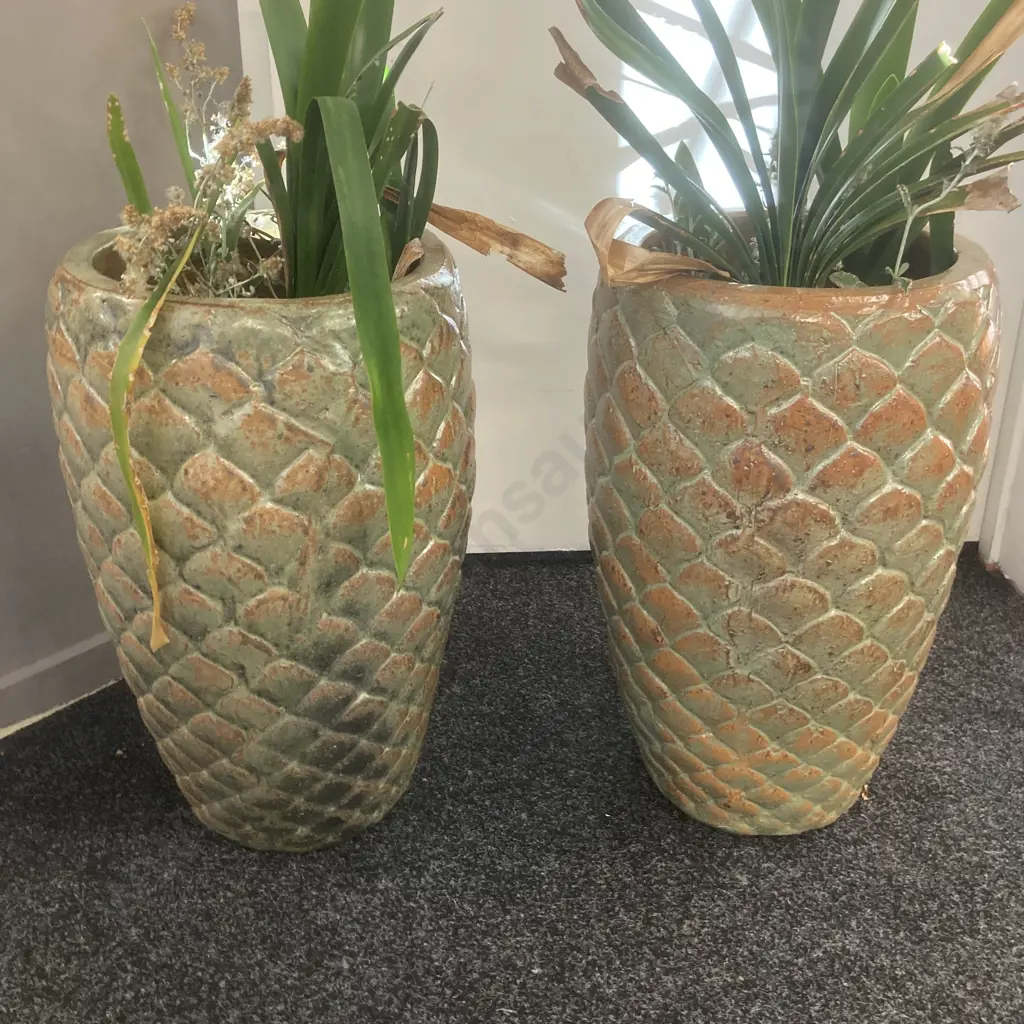 Pair of Glazed Ceramic Pineapple Planters With Clivias. 49 x 30cm Image 1++