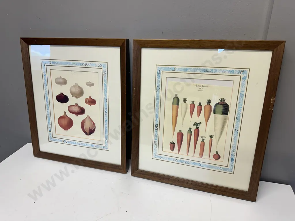 Pair Of Wooden Framed Artwork Tab IV Photos Of Prints Taken From The Album Benary Carrots & Onion Variety Image 1++