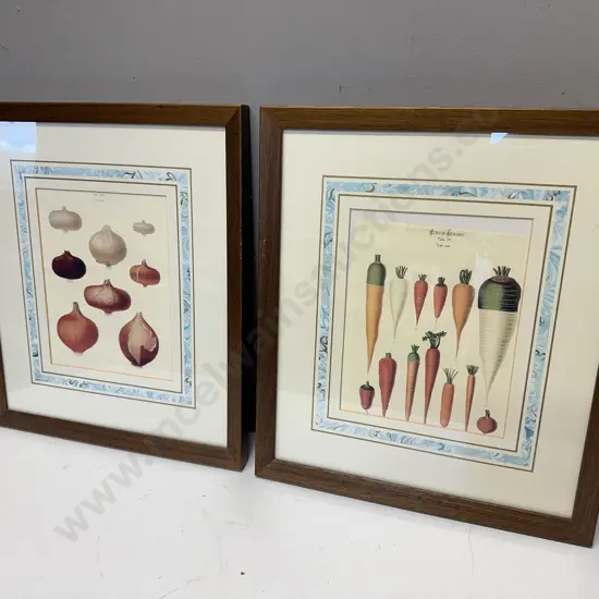 Pair Of Wooden Framed Artwork Tab IV Photos Of Prints Taken From The Album Benary Carrots & Onion Variety