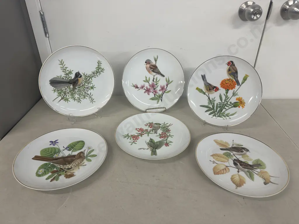 Six Crown Lynn Limited Edition New Zealand Birds Collectors Plates  Image 1++