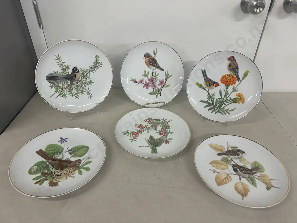 Six Crown Lynn Limited Edition New Zealand Birds Collectors Plates  Image 1++