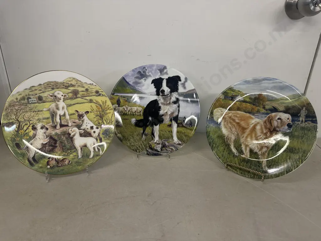 Selection Of Collectors Plates Including Royal Worcester & Royal Grafton  Image 1++