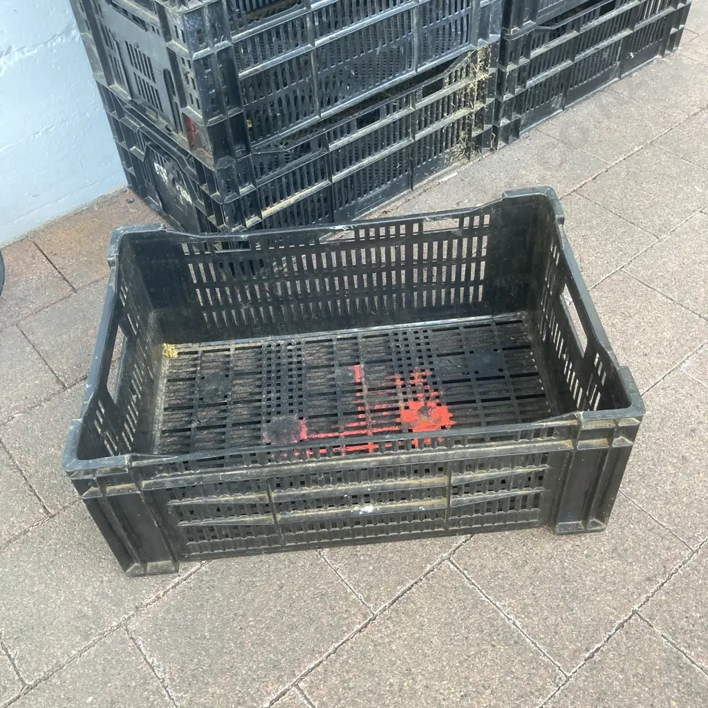 8x Black Plastic Crates H24.5,W59,D39cm. Image 1++