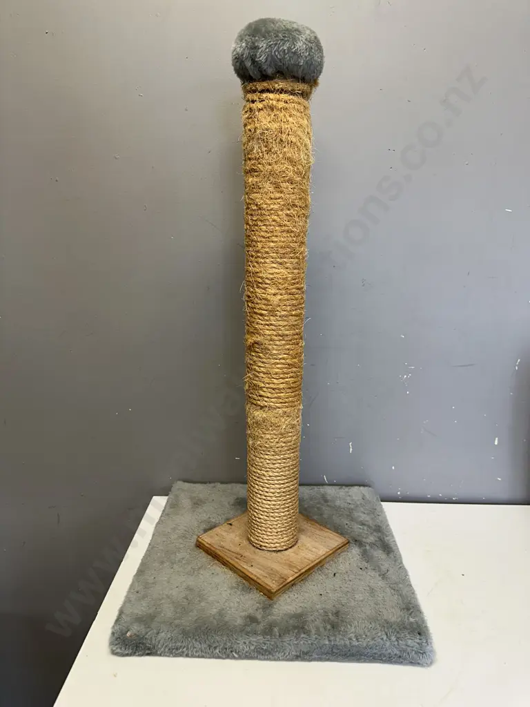 Cat Scratcher H78cm Image 1++