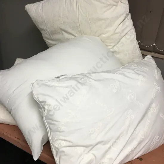 King Size Duvet Inner, Euro Pillow Etc