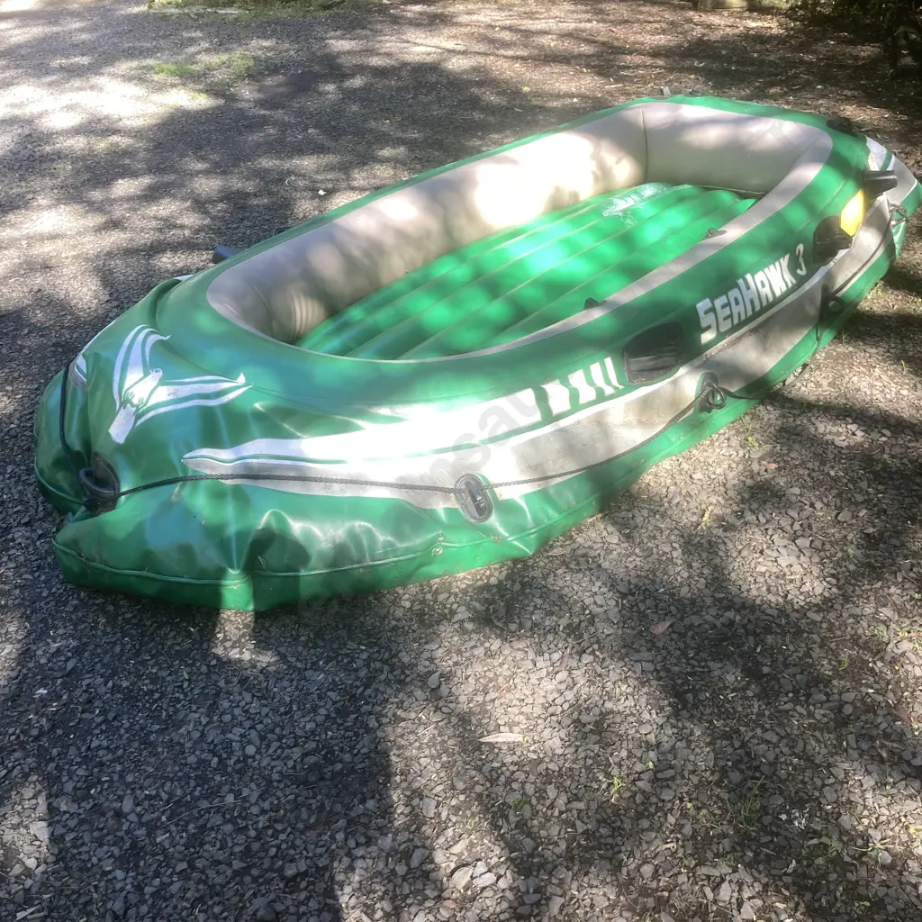Intex Seahawk 3 Inflatable Boat with Oars & Hand Pump, Green Image 1++