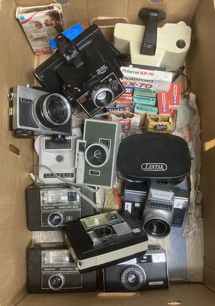 Box Lot Cameras & Gear - Keystone, Polaroid, Flash Bulbs Etc Image 1++