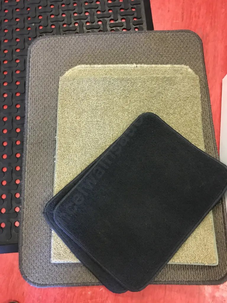 A Selection of Floor Mats Image 1++