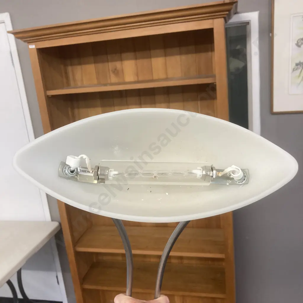 Brushed Stainless Steel Floor Lamp With White Frosted Glass Shade Image 1++