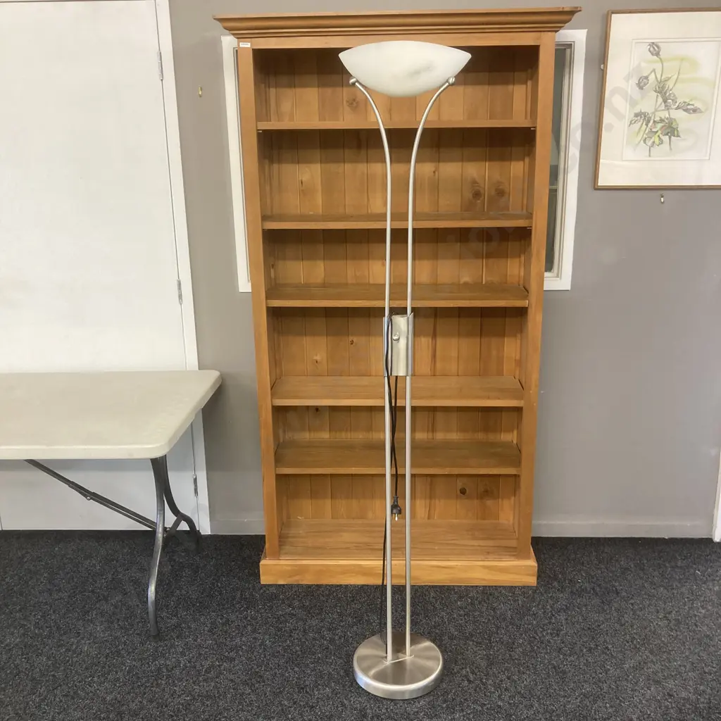 Brushed Stainless Steel Floor Lamp With White Frosted Glass Shade Image 1++