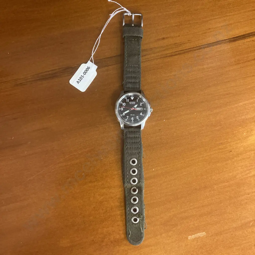 Citizen Eco-Drive Gents WR100 Watch #292050013 Image 1++