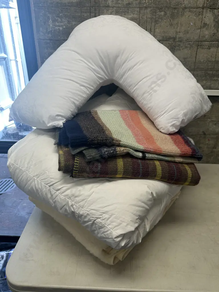 Assorted Single Size Linen, Cloud 9  Curved Pillow Etc Image 1++