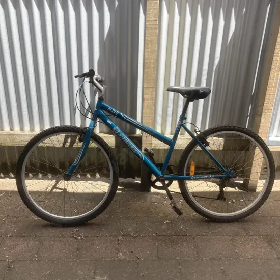 Vintage Green & White Dunlop Alive Bike - 6 Speed