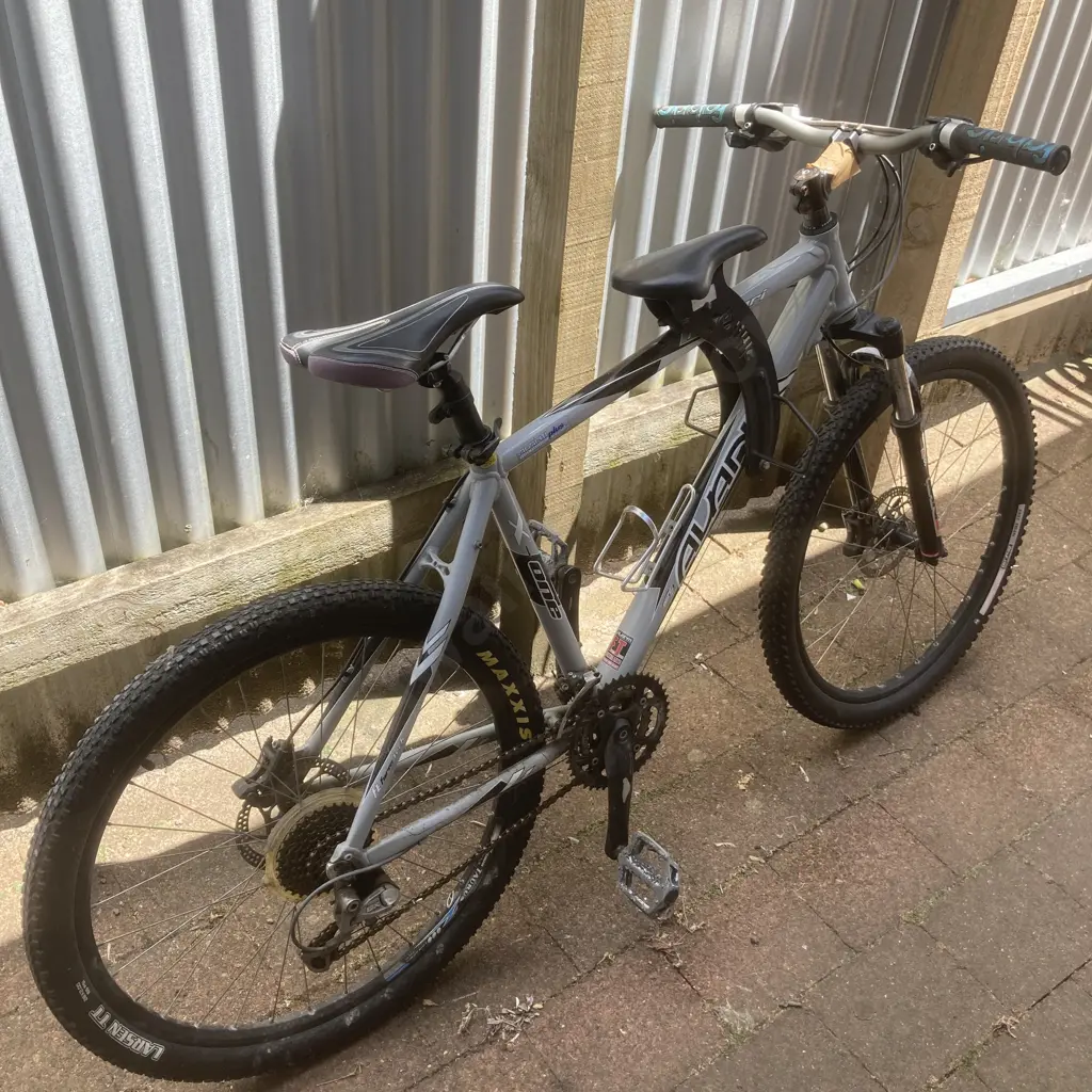 Silver & Black Avanti X-One Bike With Childs Seat Image 1++