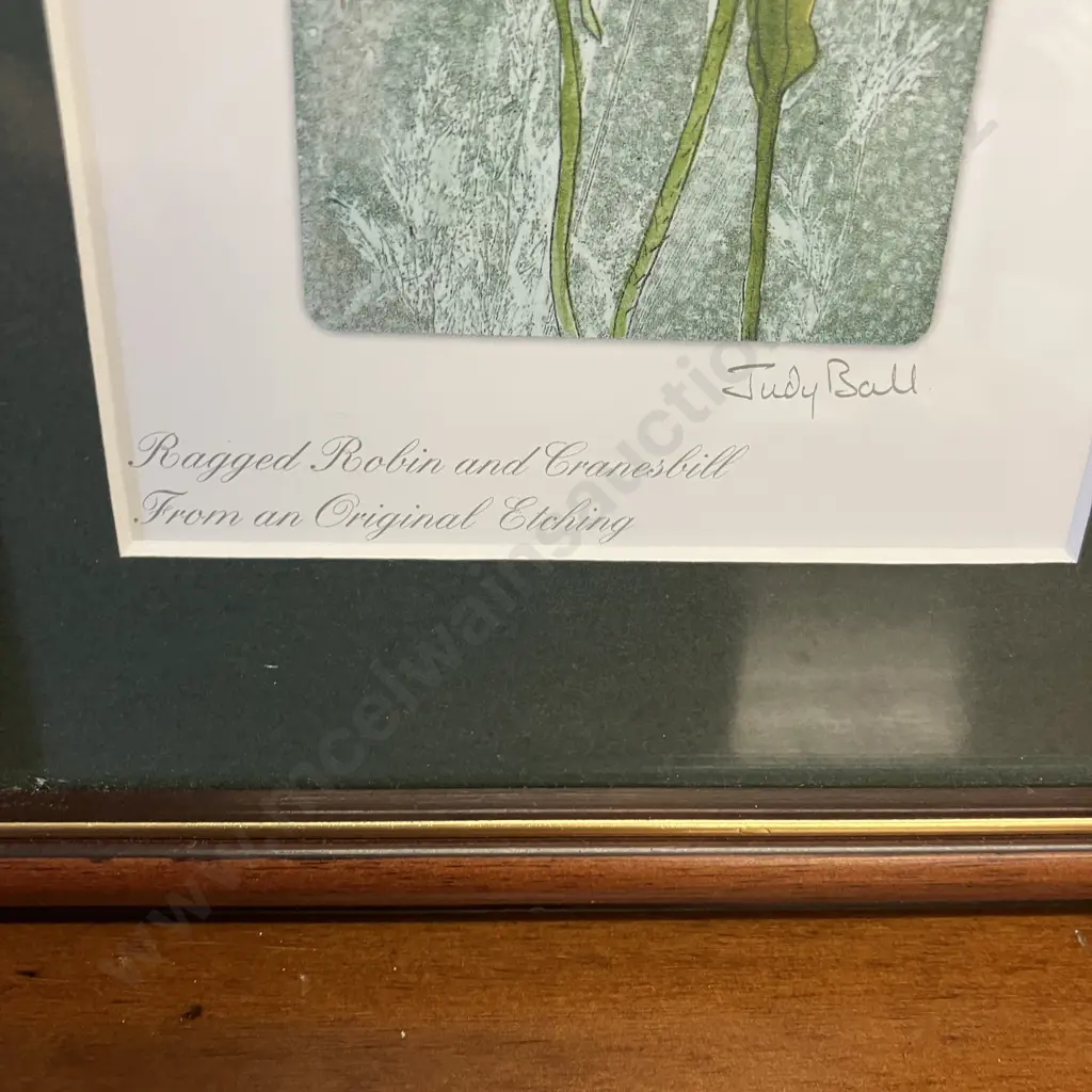 Pair of Floral Framed Prints by Judy Ball (UK). 34 x 18cm Image 1++
