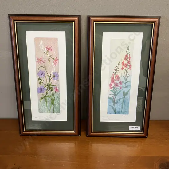 Pair of Floral Framed Prints by Judy Ball (UK). 34 x 18cm