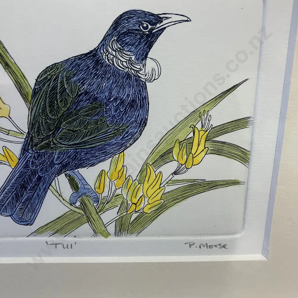 'Tui' Framed Print, 32/180 signed P. Morse, Framed. 19 x 24cm Image 1++