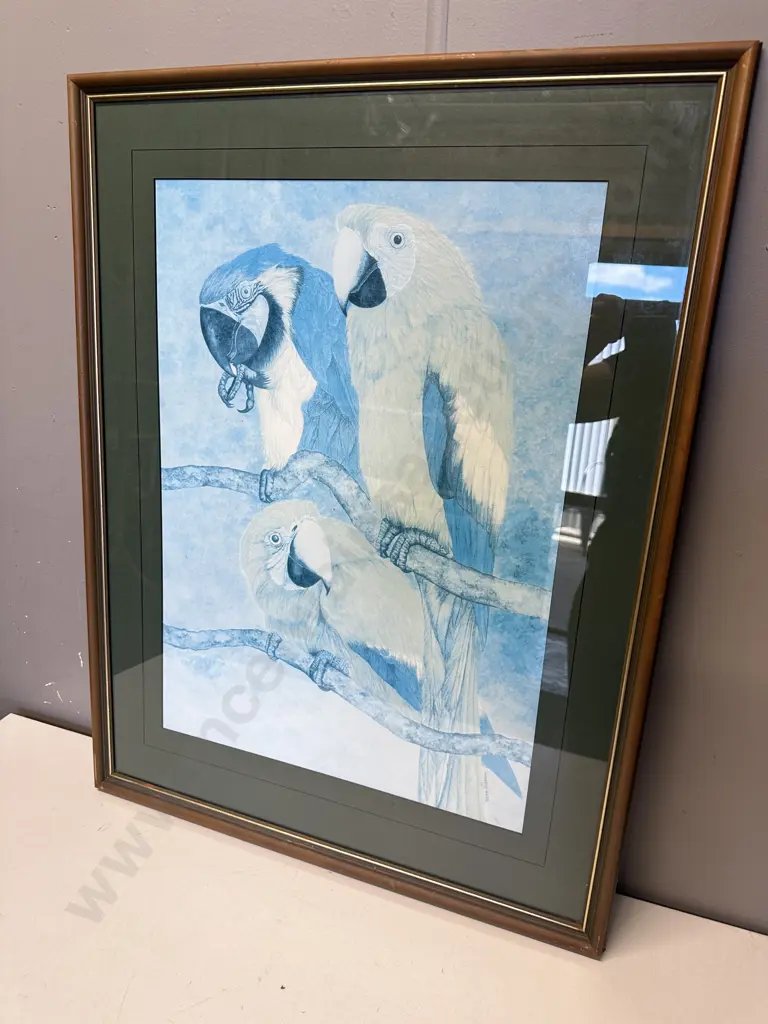 Framed Print Signed Erika Craddock 'Parrots' H78,W60cm. Image 1++