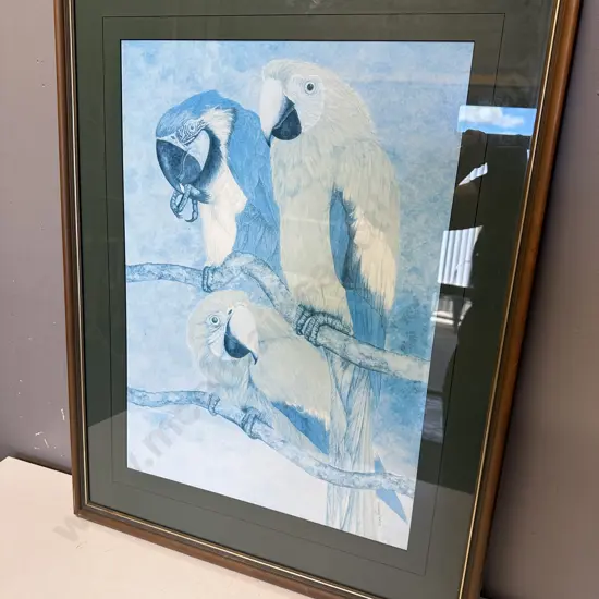 Framed Print Signed Erika Craddock 'Parrots' H78,W60cm.
