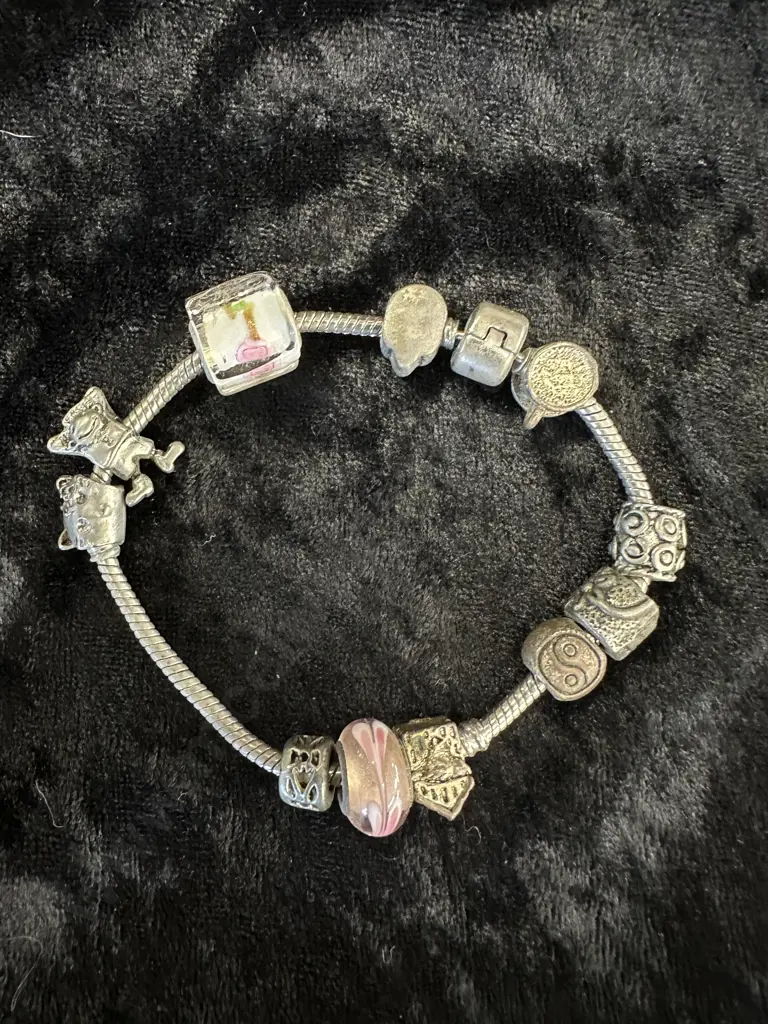 Pandora Type Charm Bracelet & Charms Image 1++