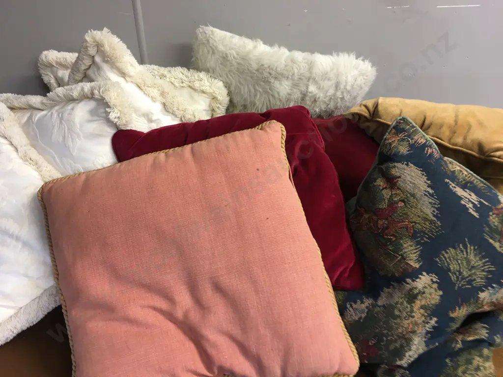 Assorted Cushions Image 1++