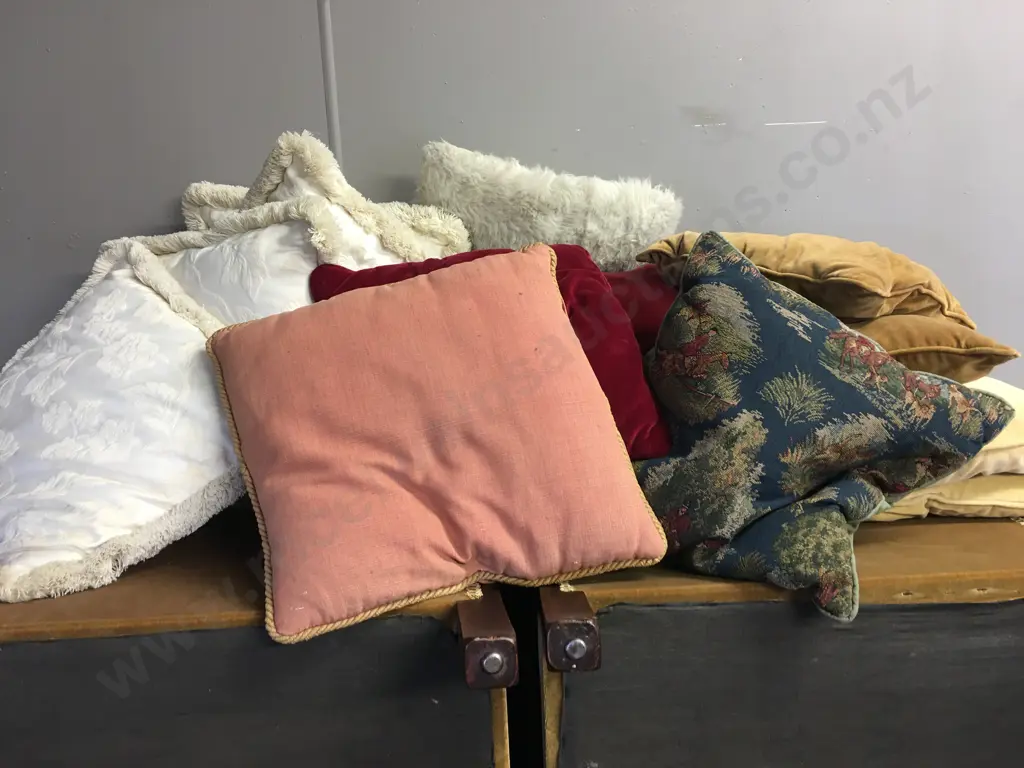 Assorted Cushions Image 1++