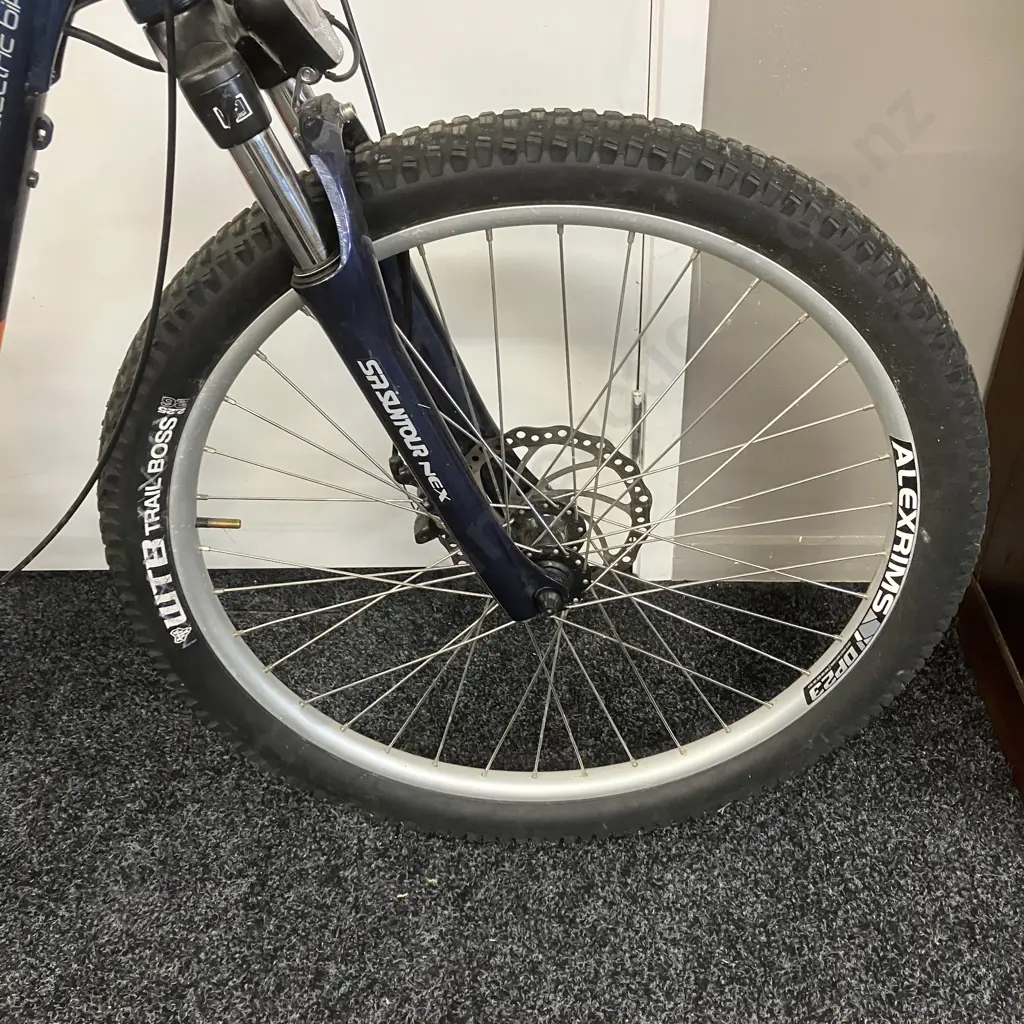 Blue & Orange Smartmotion e-city E-Bike (sold as-is) Image 1++