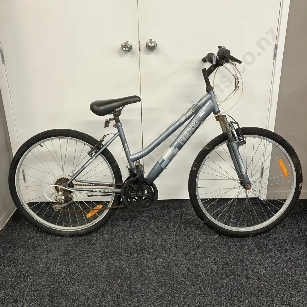 Grey & Blue Repco Mosaic 18 Speed Ladies Bike Image 1++