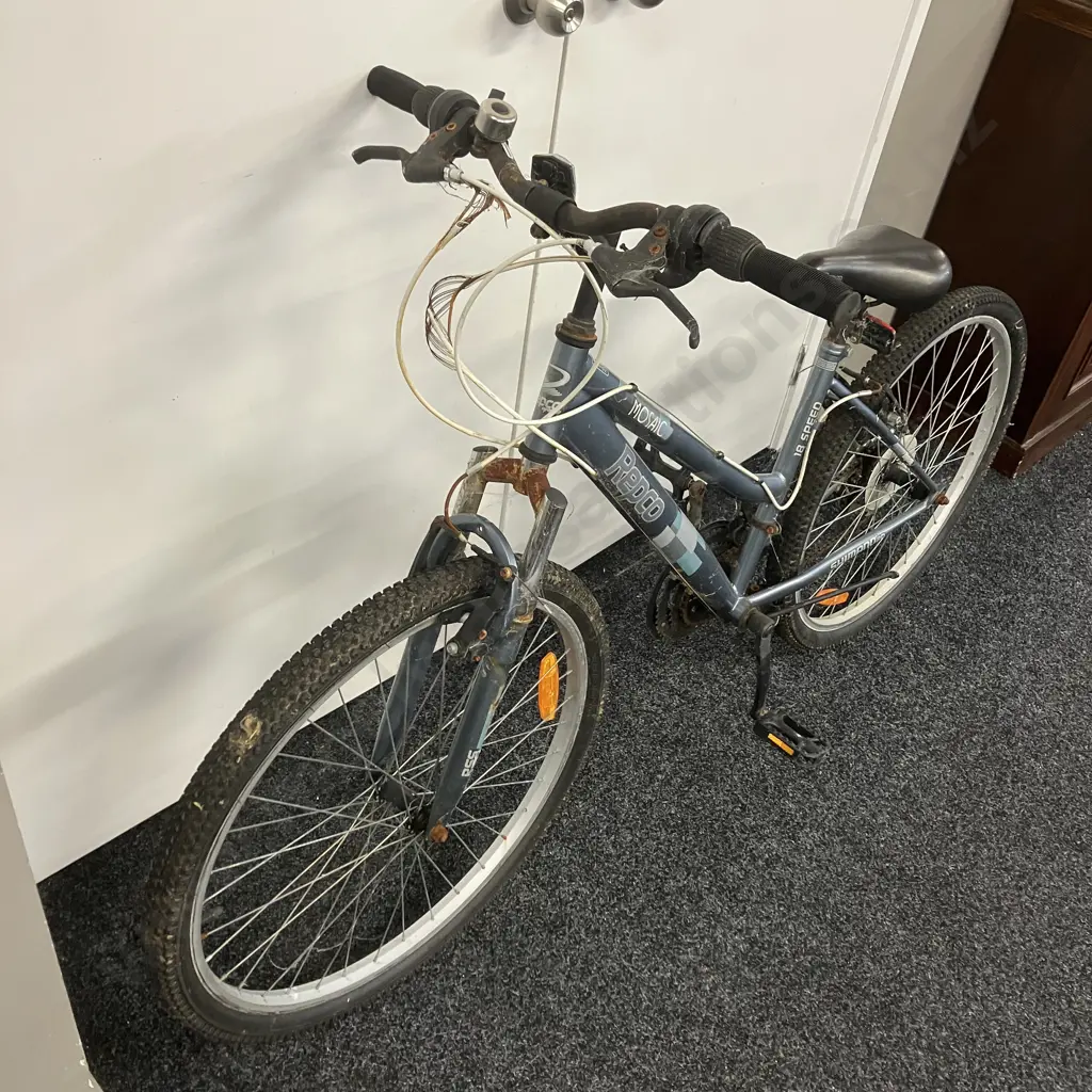 Grey & Blue Repco Mosaic 18 Speed Ladies Bike Image 1++