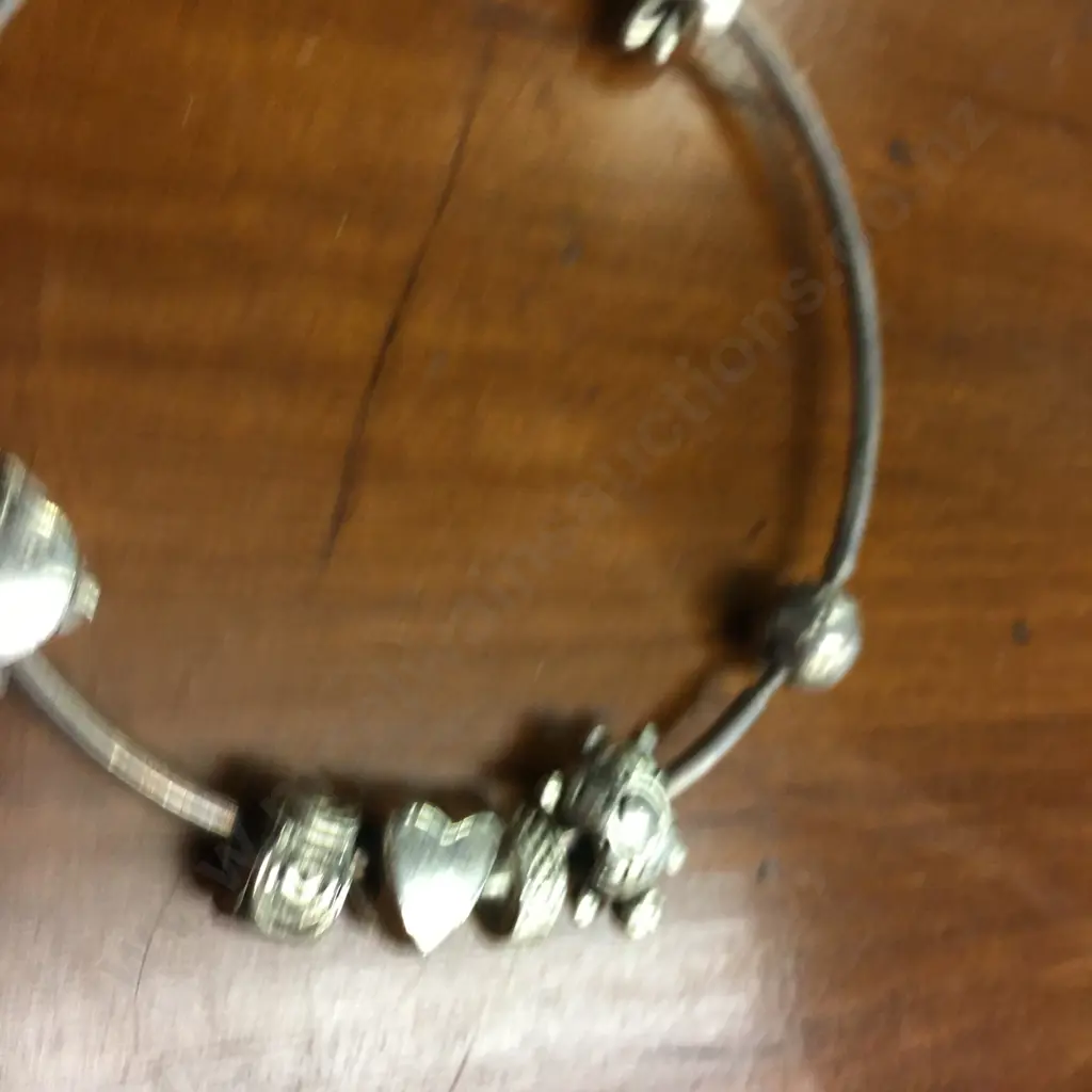 Pandora Bangle With Assorted Unstamped Bracelet Charms Image 1++