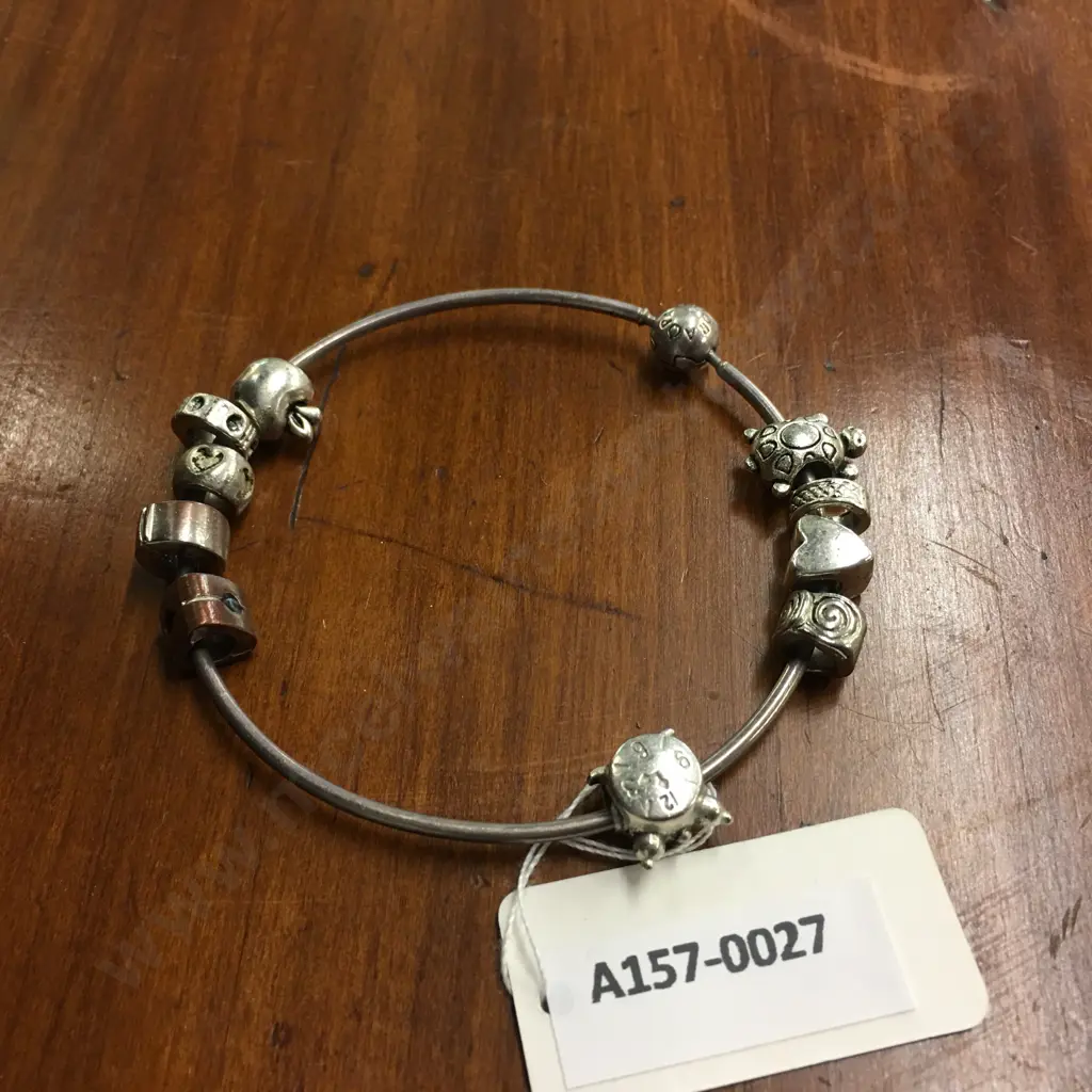 Pandora Bangle With Assorted Unstamped Bracelet Charms Image 1++