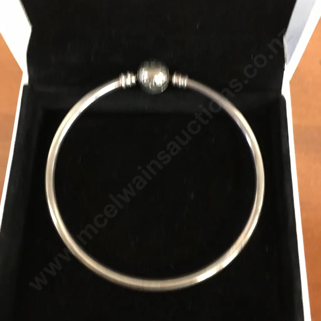 Pandora Bangle Image 1++