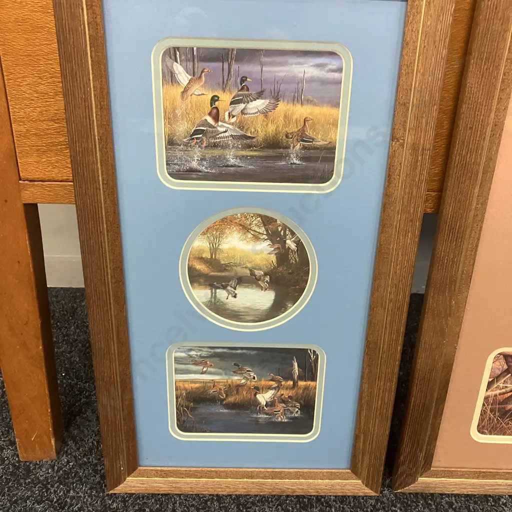 Pheasants & Mallard Ducks - Pair of Triple Framed Prints In Solid Wood Frames. 57 x 32cm - USA Image 1++