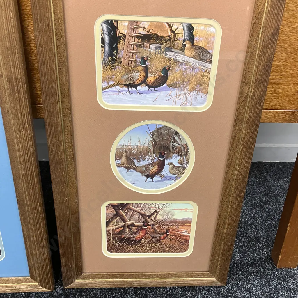Pheasants & Mallard Ducks - Pair of Triple Framed Prints In Solid Wood Frames. 57 x 32cm - USA Image 1++