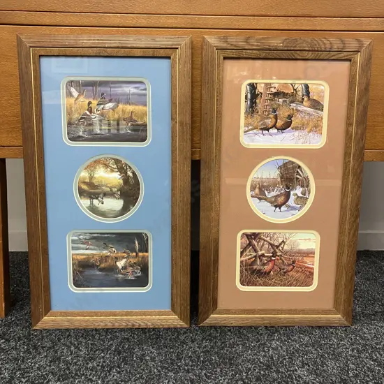Pheasants & Mallard Ducks - Pair of Triple Framed Prints In Solid Wood Frames. 57 x 32cm - USA